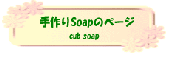 Soap̃y[W cub soap